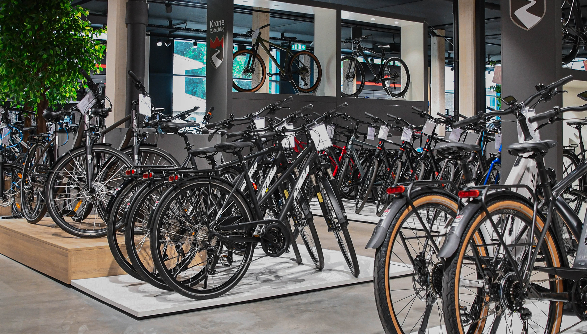biobikes